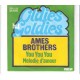 AMES BROTHERS - You you you